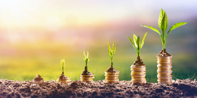 What You Gain and Lose by Using SAFE Notes